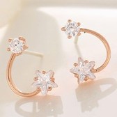 Fashion sweet simple meteor stone earrings