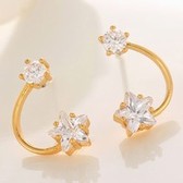 Fashion sweet simple meteor stone earrings