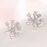 Fashion Ice earrings