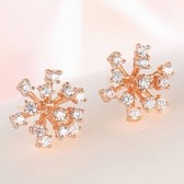 Fashion Ice earrings